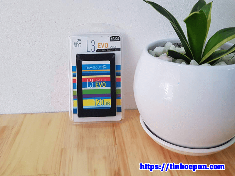 ổ Cứng Ssd Cho Laptop 1g Team Evo Bảo Hanh 3 Năm Tin Học Pnn