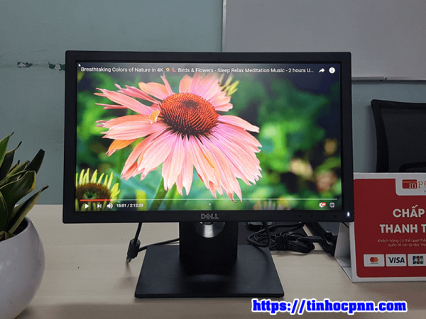 Màn hình Dell E1916H màn hình đồ họa, văn phòng gia re tphcm 4