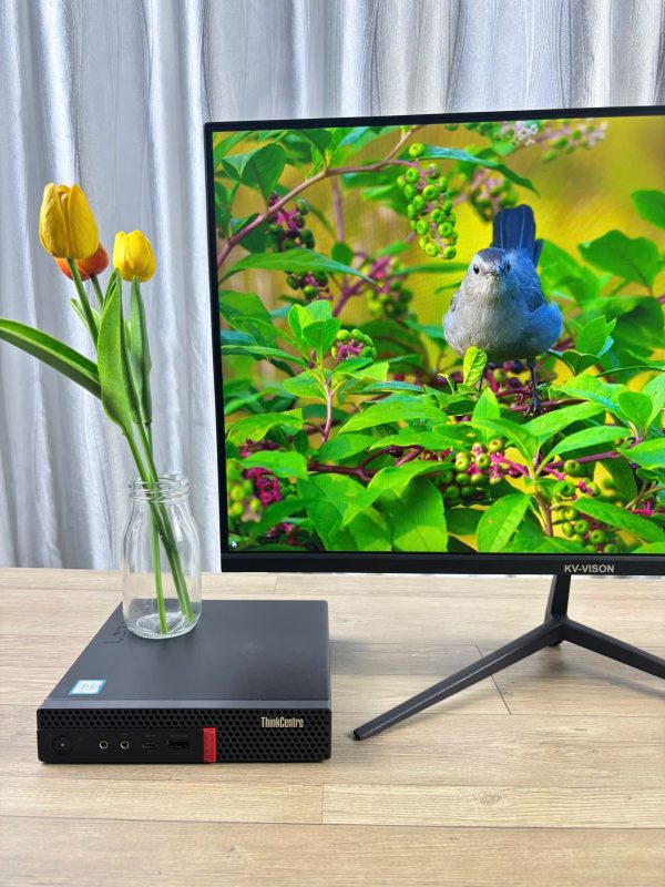 Tin học PNN | Laptop – Máy tính – Màn hình giá rẻ